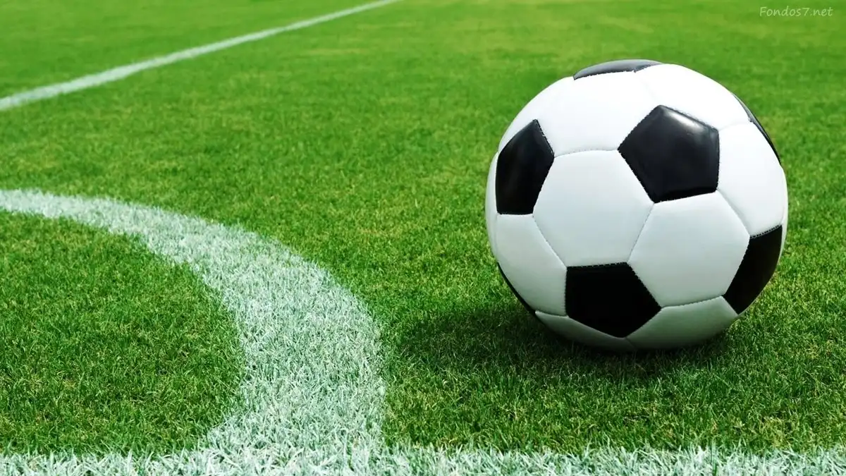 Fútbol